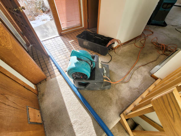 Best 24/7 water damage repair  in Fairfax, VA