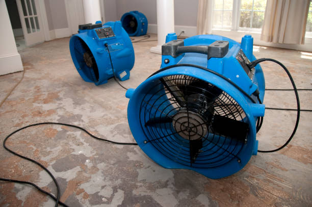 Best Fire Damage Restoration  in Fairfax, VA