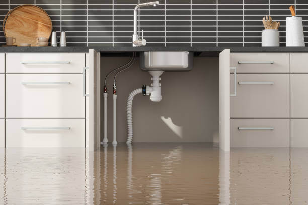 Best Water damage contractors near me  in Fairfax, VA