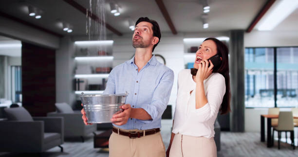 Best Basement water damage restoration  in Fairfax, VA