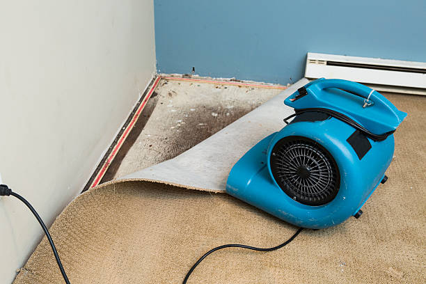 Best Flood damage cleanup  in Fairfax, VA